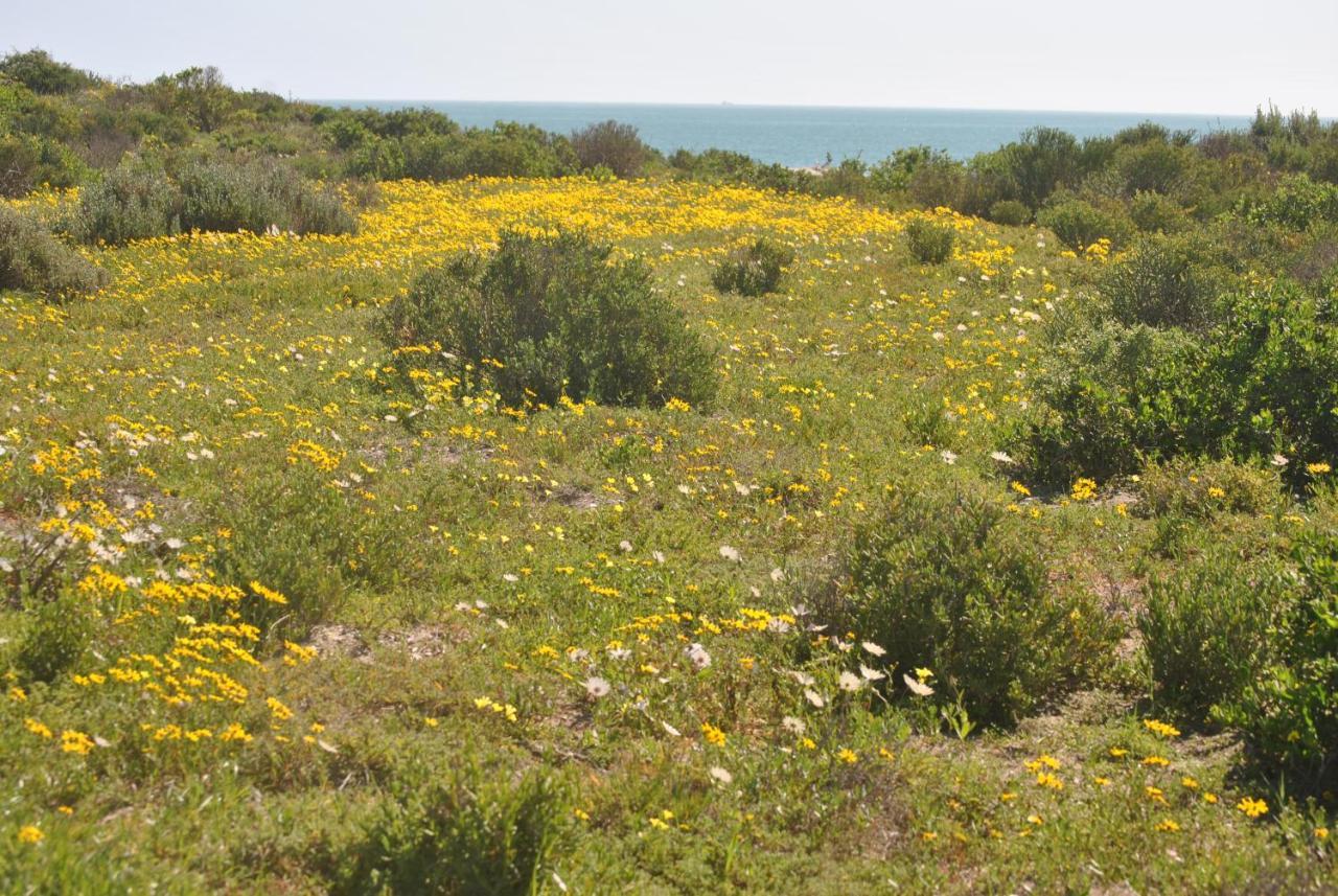 Stay At Bokkoms In Paternoster Self Catering Accommodation 외부 사진