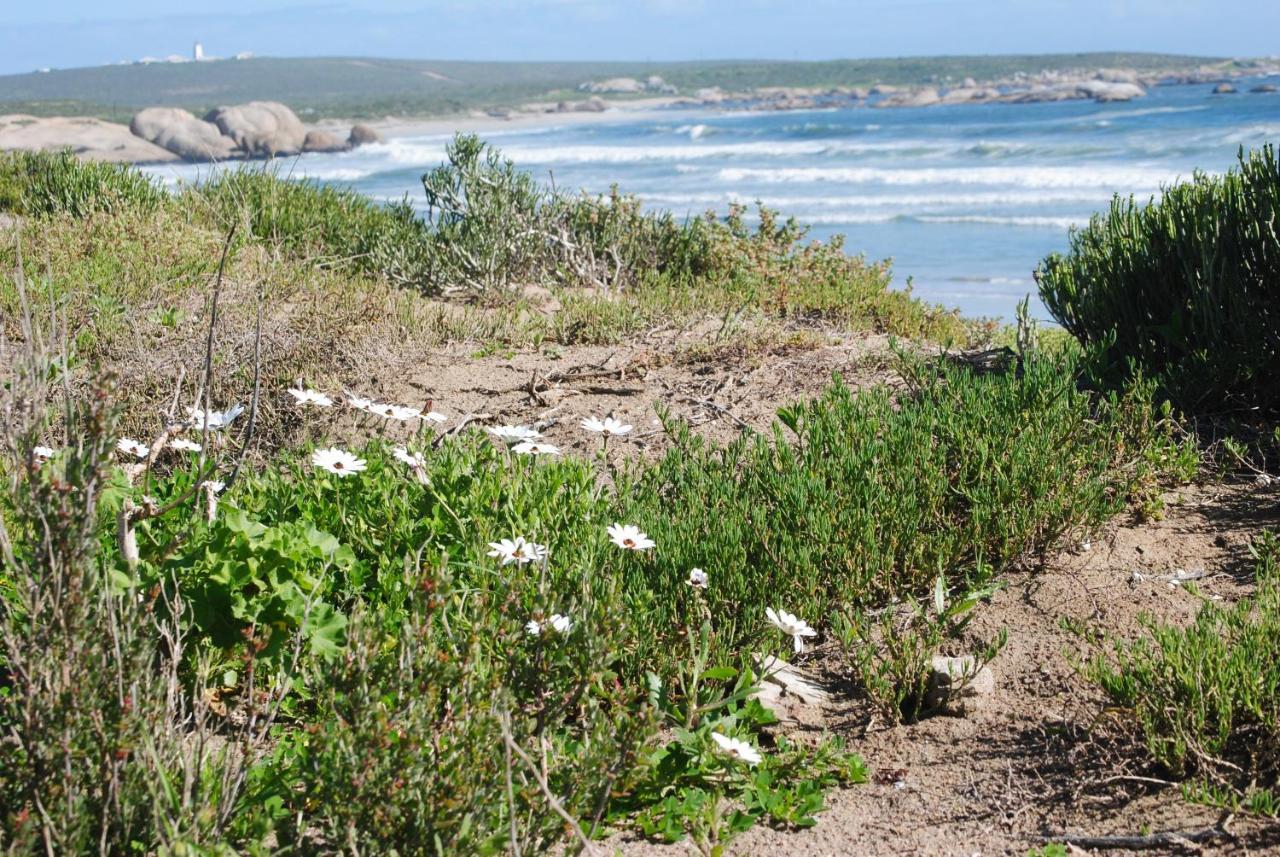 Stay At Bokkoms In Paternoster Self Catering Accommodation 외부 사진