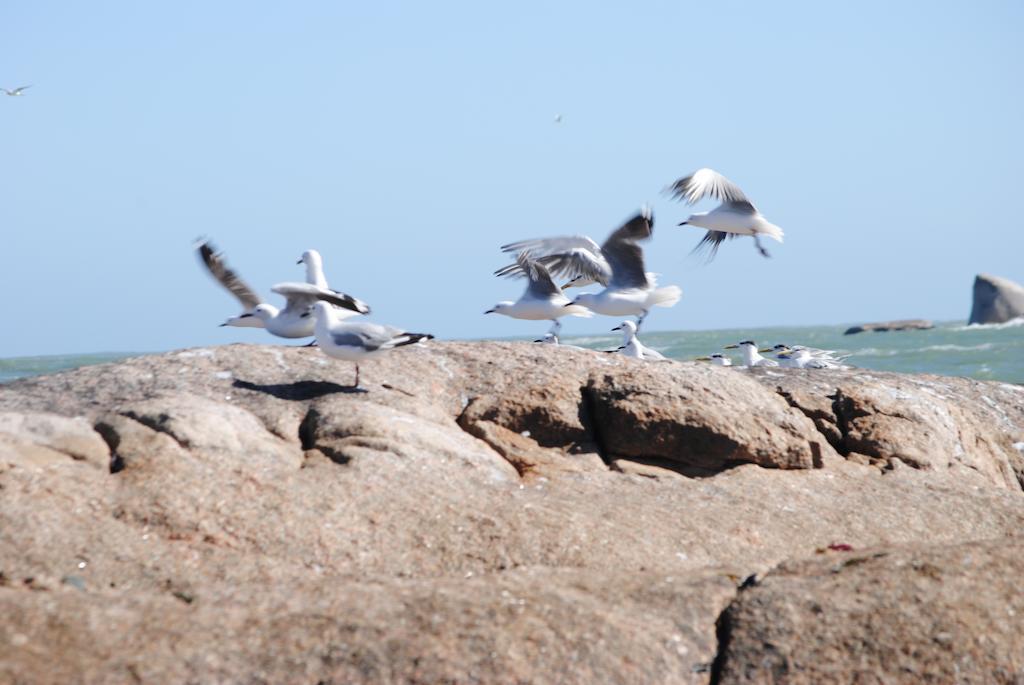 Stay At Bokkoms In Paternoster Self Catering Accommodation 외부 사진